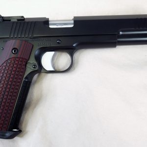 DAN WESSON BRUIN