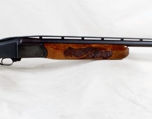 LJUTIC BI-GUN
