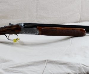 RIZZINI VENUS FIELD