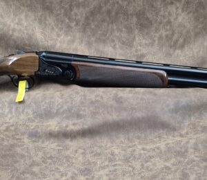 RIZZINI BR110 LIMITED